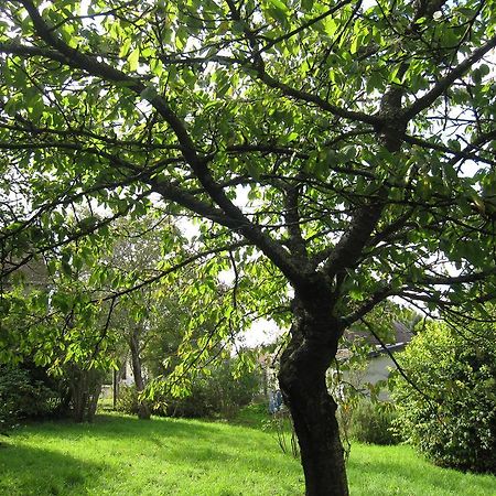 Maison Avec Grand Jardin Pour 15 Couchages En Normandie Cairon Cameră foto